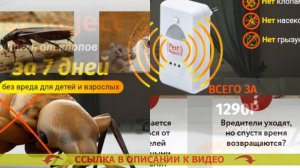 🔴 Звуковой отпугиватель насекомых правда или миф 👍 Отпугиватели ультразвуковые от тараканов