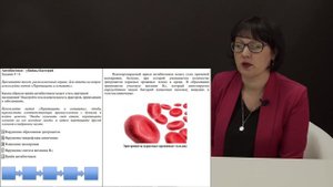 лекция. Часть 4.