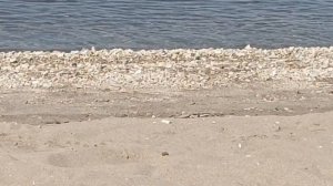 Если бы вы знали вода лёд. но зато открыла для себя пляжный сезон. Иван Кучин. Любимые песни.Супер..