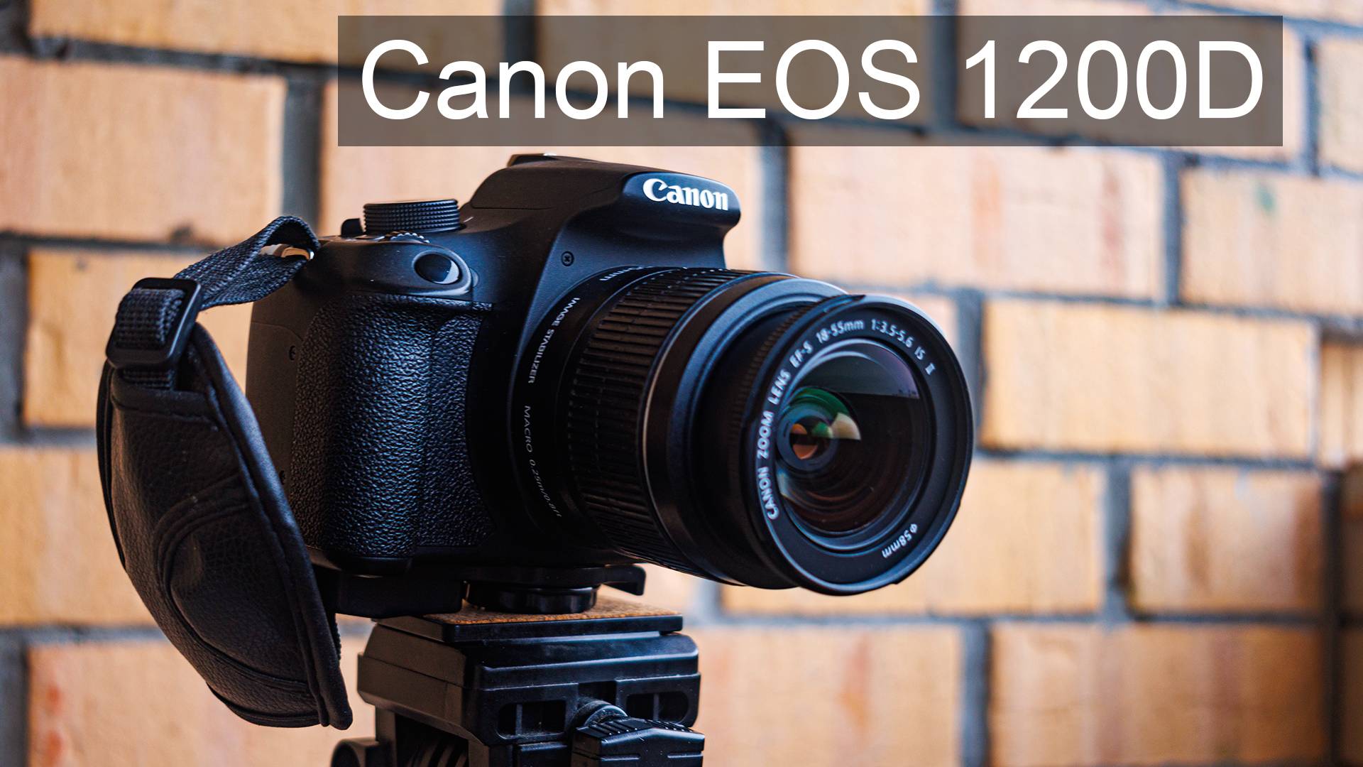 Гуляю по лесу и фоткаю на Canon EOS 1200D