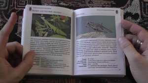 "Насекомые. мини-энциклопедия" (Майкл Чайнери, 2001)