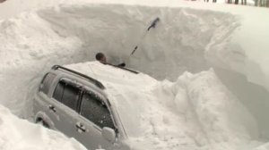 Танго с лопатой