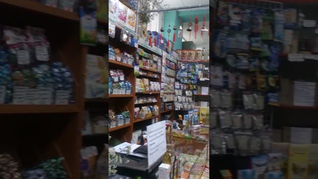 Цикорий всегда в продаже в магазине "РЕЦЕПТЫ  ЗДОРОВЬЯ" метро Дубровка ул.Шарикоподшипниковская 11/ смотреть онлайн