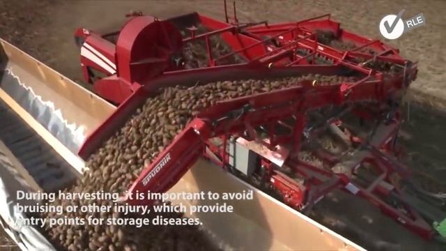 Impressive Potato Harvesting Machines- Modern potato harvesting - Modern agriculture MAchinery