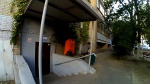 Parkour vid from Instaram 4