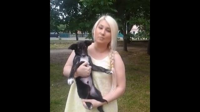 РИЧАРД ищет ДОМ смотреть онлайн