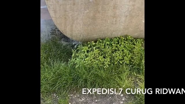 Request by request 2 EXPEDISI 7 curug ridwan@mamaoidaaparis смотреть онлайн