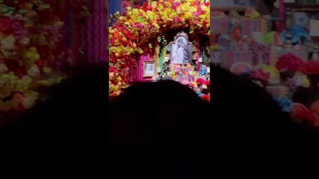 EXPOSIÇÃO FRIDA IMERSIVA 🌸 #fridakahlo #girlpower #feminismo #oquefazernorio #riodejaneiro смотреть онлайн