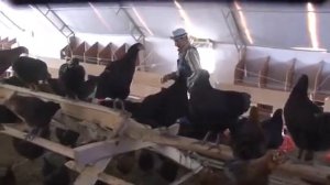 Энг яхши бизнес. Узбекистонда