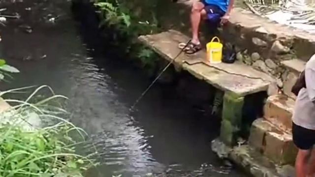 mancing karo life Instagram // Ngonten ora genah смотреть онлайн