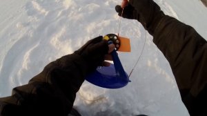 ПОСТАВИЛ ВОЛШЕБНУЮ РЕЗИНКУ И ВОТ ЧТО ПОЛУЧИЛОСЬ!!! Секреты уловистой жерлицы. Щука на жерлицу.