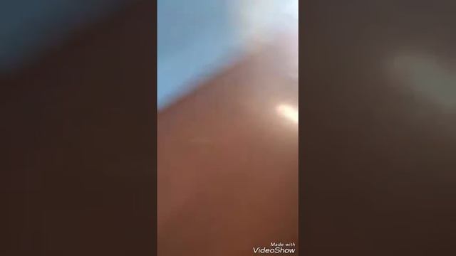 Мы дибилы в жопу нехера делать смотреть онлайн