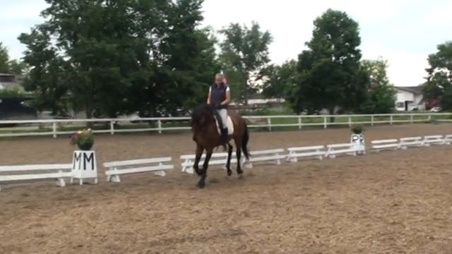 Г.Н. Ланюгина, семинар по судейству в выездке. Часть 22 смотреть онлайн