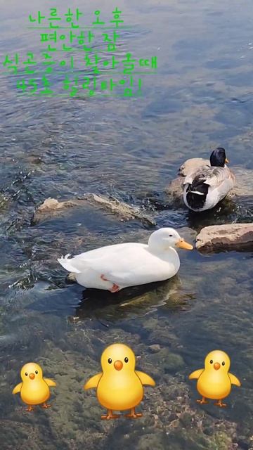 숙면 그리고 편안한 잠 смотреть онлайн