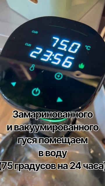 #рецепты #гусь #сувид #рецептужина #какприготовить #приготовить #дичь #рецептыиздичи #кулинария