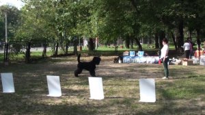Зевс. показ перед выставкой