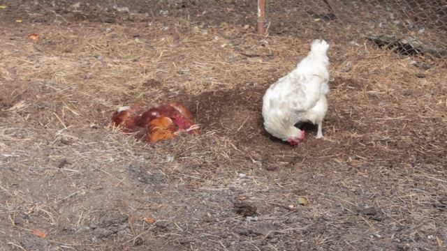 Кайфуем. смотреть онлайн