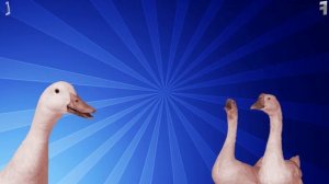 РОЗОВЫЙ ГУСЬ [#2]