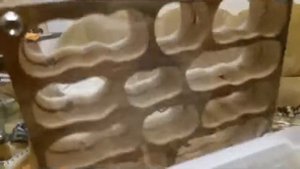 Фармикарий   дом для муравьёв 2019 год