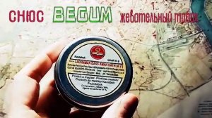 Жевательный  табак  Begum #снюсоеды #снюс  #жевательный_табак #sixphotosnuff