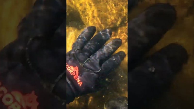 Дорогая блесна #fishing #рыбалканаозере