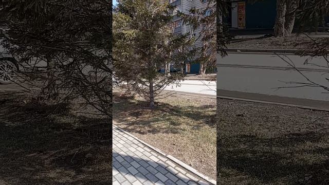 VID_20250404_145438 в Новосибирске есть и новые дома!!!