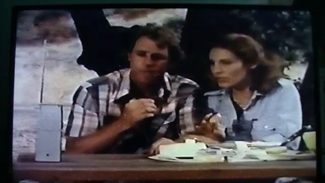 The Goosehill Gang and the Mystery of Howling Woods - 1980