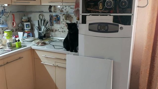 Помощник