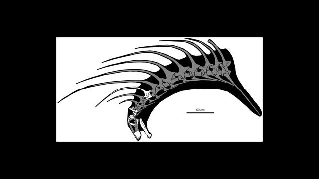 Bajadasaurus смотреть онлайн