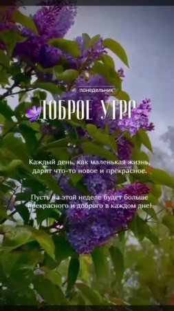 Доброе утро.