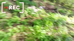 мини обзор базы 2 часть