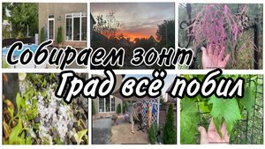 ⚡️Собираем садовый зонт🌈Град побил растения🍅Мой урожай томатов