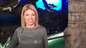 СТУДИЯ ВОКАЛА NEXT STAR