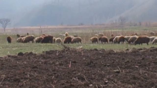 Прикол Гипер баааррраныыы