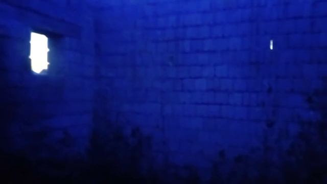 Барбарис и Неизвесный дом 😱Духи котов👻 смотреть онлайн