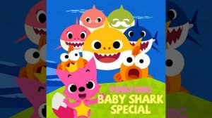 Pirate Baby Shark