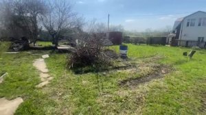 Чудесная дача в п. Северный (Белгородская область)