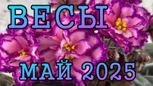 ВЕСЫ таро прогноз на МАЙ 2025 года.