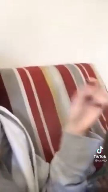 Выучила кошачий язык смотреть онлайн