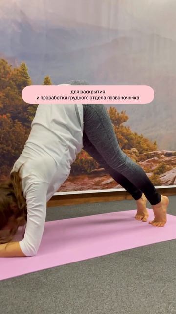 Упражнение "Дельфин" смотреть онлайн