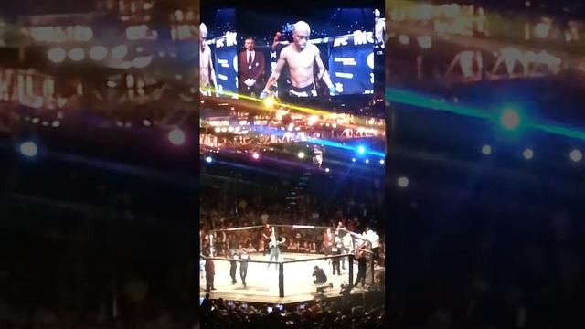 MGM Las Vegas - UFC 168 - Anderson Silva