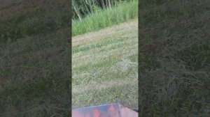 Пресование сена на т-25 с китайским прессподборщиком 850, полный цикл.