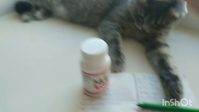 оплатила ком. услуги за январь. смотреть онлайн