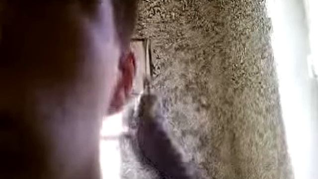 Говорящий попугай Шустрик. Шустрец смотреть онлайн