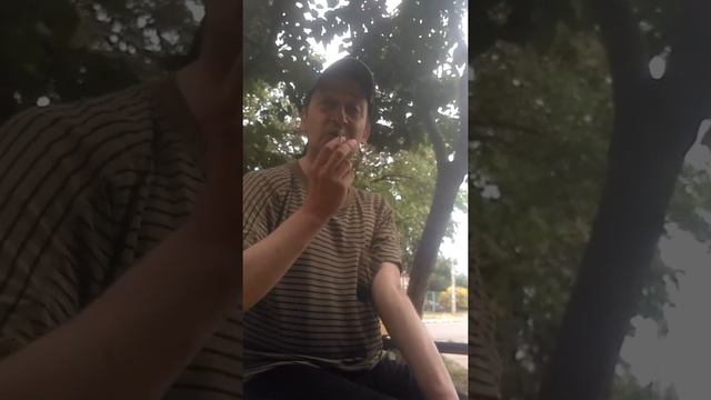 History life Вадюня Плейбой смотреть онлайн