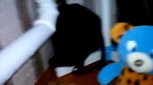 Пять ночей у медведя 1 ночь.