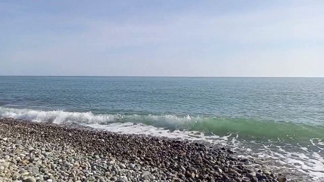 О море, море! Отпуск в Сочи 2023.