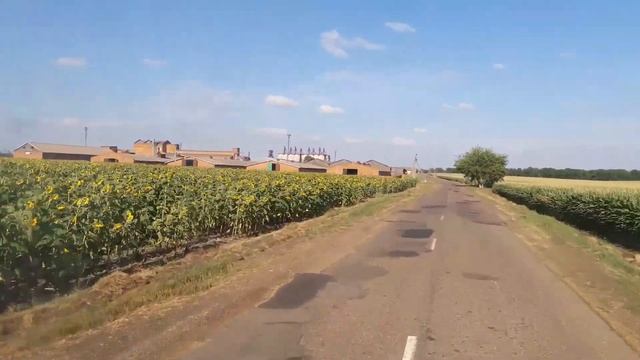 Уборка Пшеницы 09 07 20 смотреть онлайн