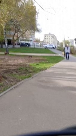 ох уж эти пешеходы