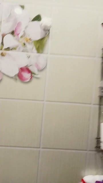 время наченать план скам заскамила мамонтов смотреть онлайн